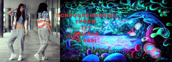 дмт Няндома