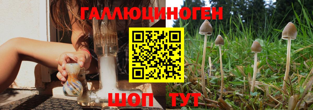 NBOMe Павлово