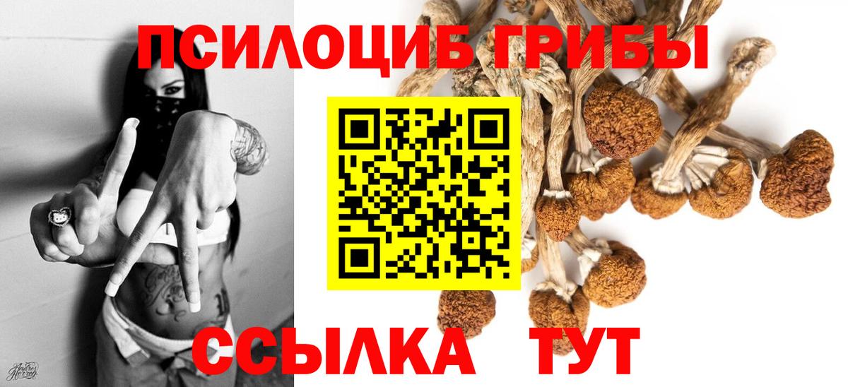 Галлюциногенные грибы мицелий  Павлово 