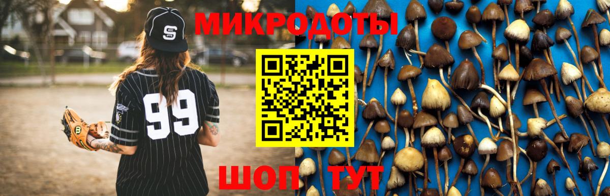 Псилоцибиновые грибы GOLDEN TEACHER Павлово