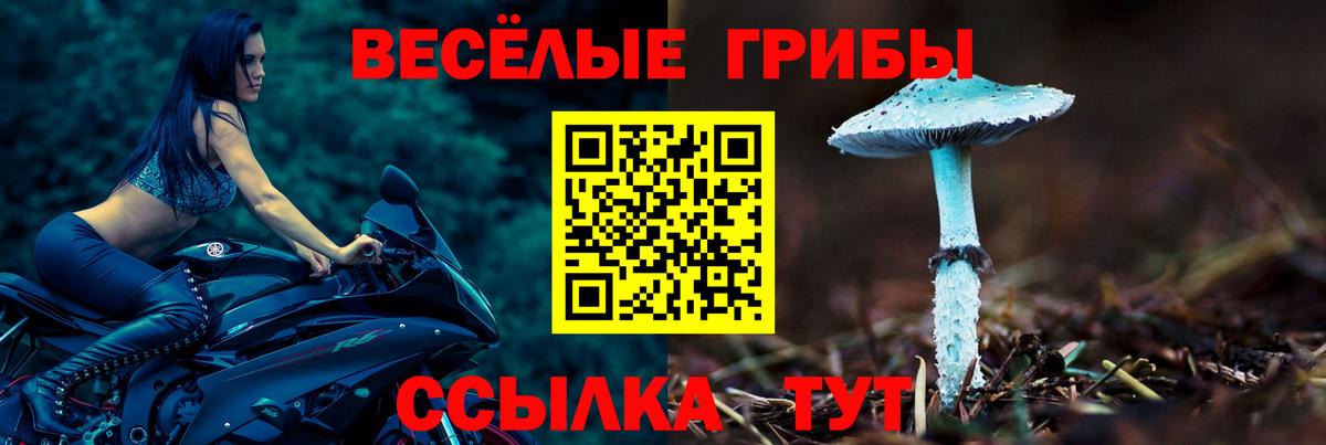 Псилоцибиновые грибы прущие грибы  Вход с VPN  Павлово 