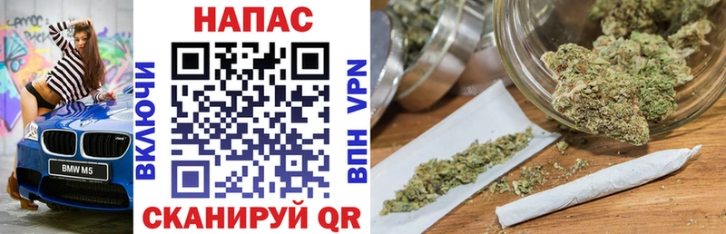 где найти наркотики  мега ссылки  Конопля Bruce Banner  Павлово 